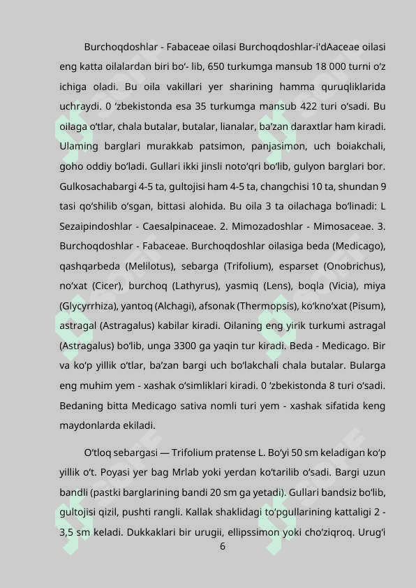 Burchoqnamolar qabilasi. Qabilaga kiruvchi oila va ularning ahamiyati haqida 6