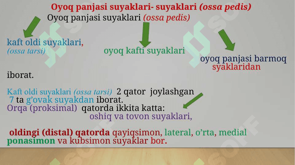 Oyoq panja suyaklarining tuzilishi 3