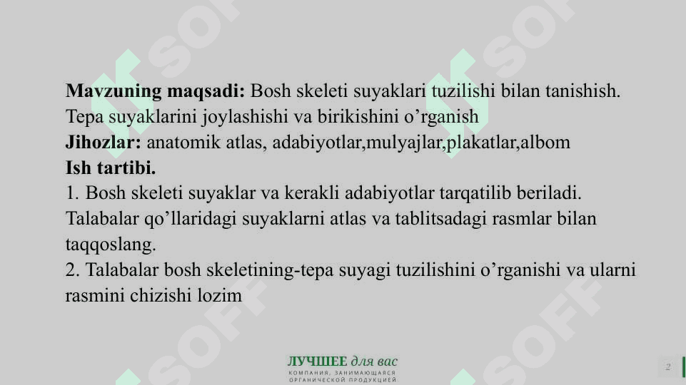 Tepa suyagi tuzilishi 2