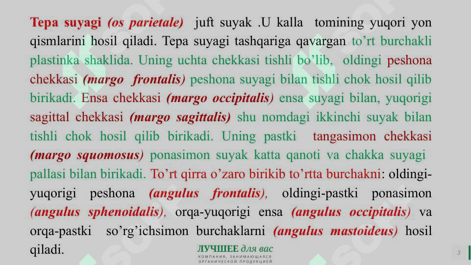 Tepa suyagi tuzilishi 3