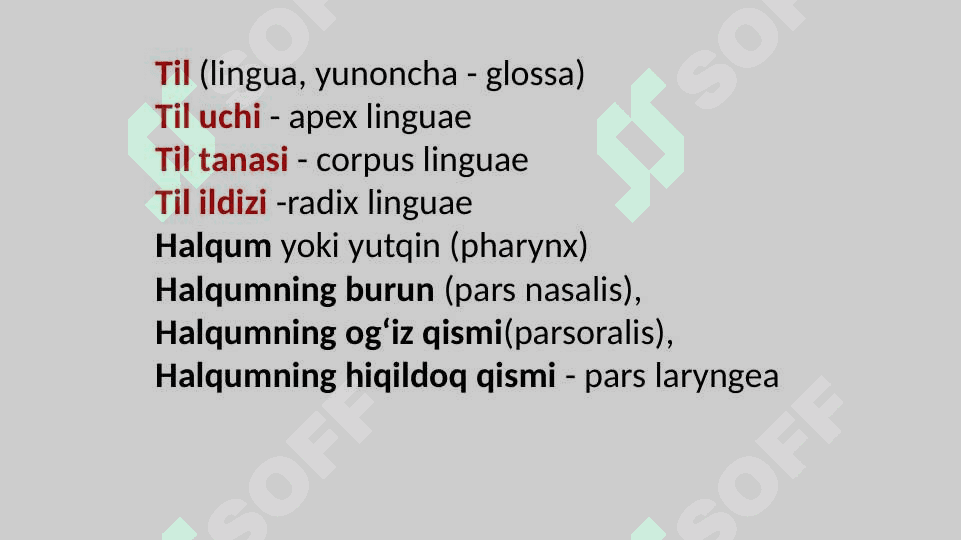 Og‘iz bo‘shlig‘i 3
