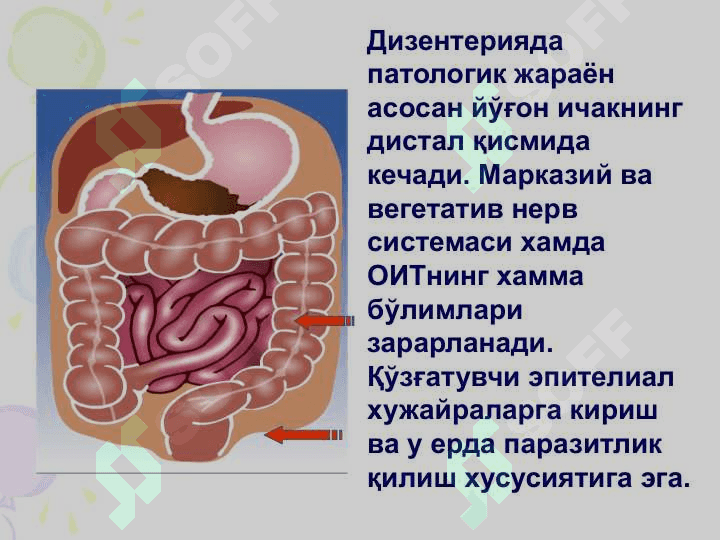 ДИЗЕНТЕРИЯ (Ичбуруғ) 5