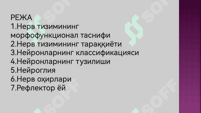 Нерв тукимаси 2