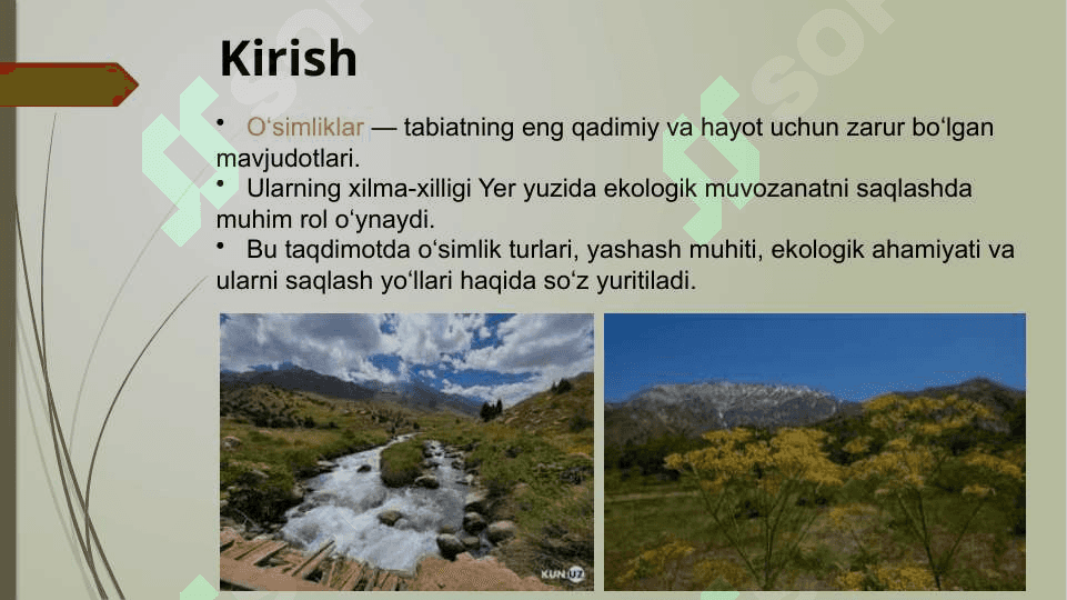 O'simliklarning xilma xilligi 2