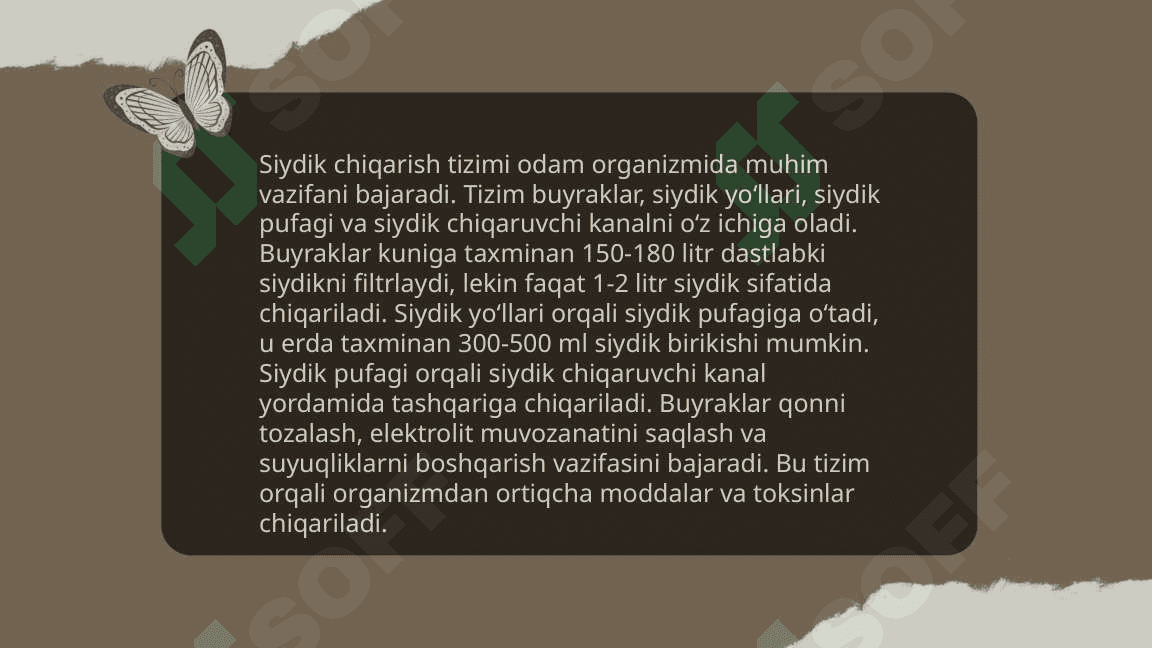 Siydik chiqarish infeksiyasi, etiologiya, patogenezi, klinika, diagnostika, davolash 5