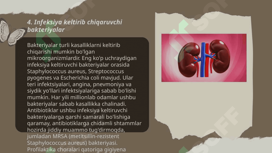 Siydik chiqarish infeksiyasi, etiologiya, patogenezi, klinika, diagnostika, davolash 6