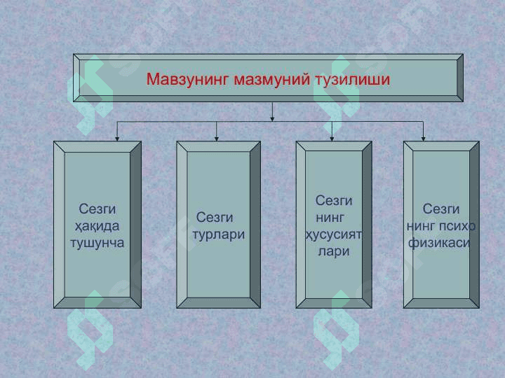 СЕЗГИ 2