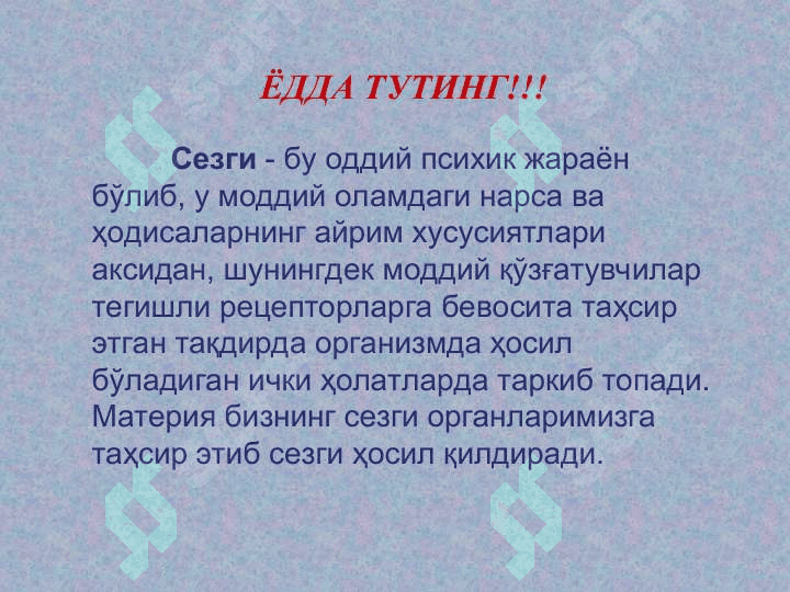 СЕЗГИ 3