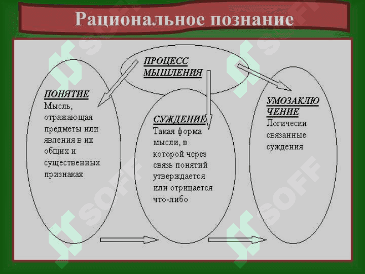 Познание окружающего мира 8