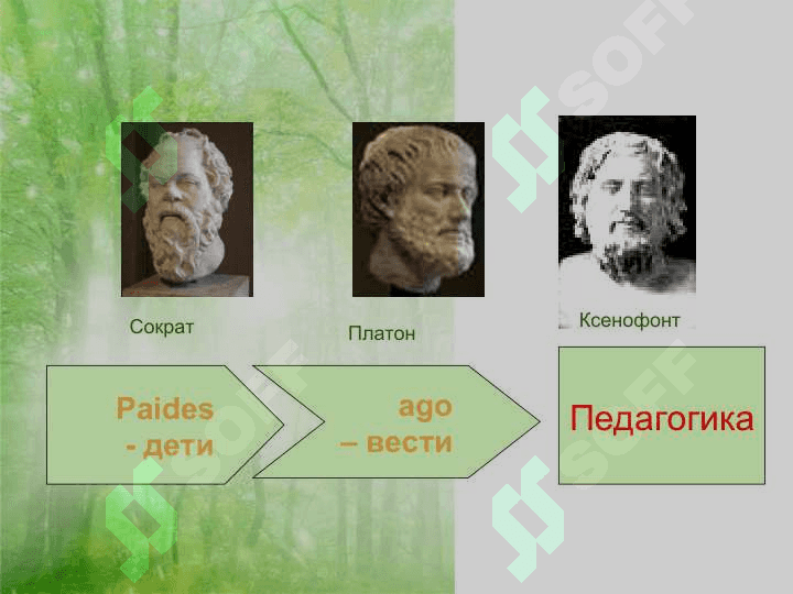 Педагогика как наука 5