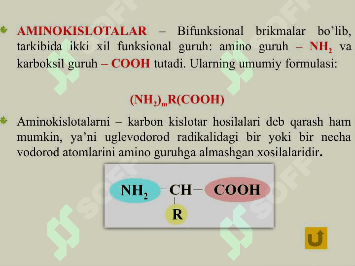 AZOT SAQLOVCHI ORGANIK BIRIKMALAR. OQSILLAR 8