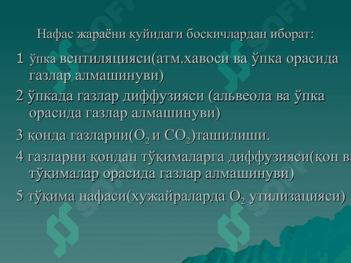 Нафас физиология 4