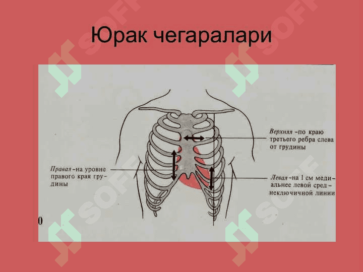 Юрак фаолиятининг ташқи кўринишлари 3