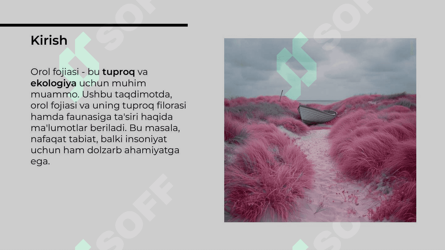 Tuproq filorasi va faunasiga tasiri 2