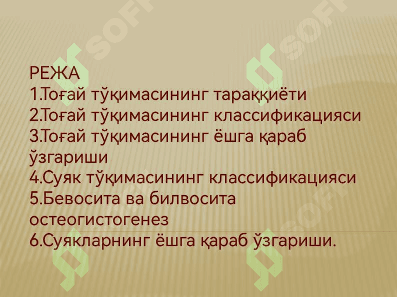 Тогай суяк 2