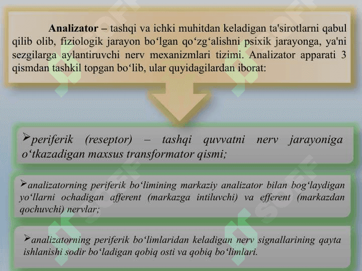 BILISH JARAYONLARI 3