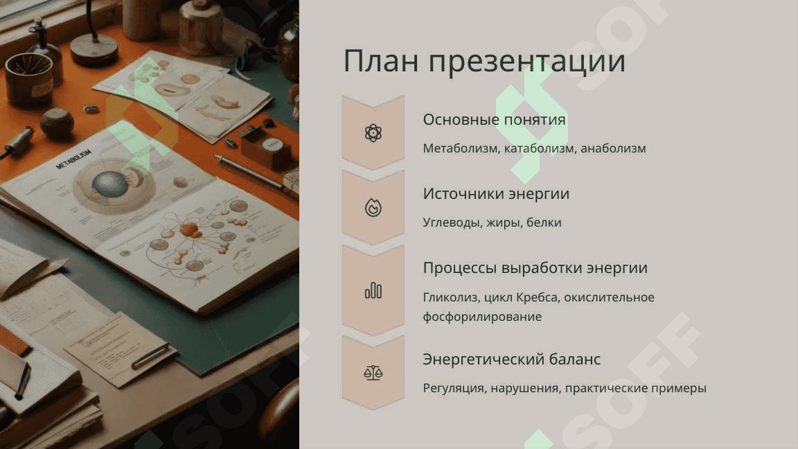 Образование и расход энергии в процессе обмена веществ 2