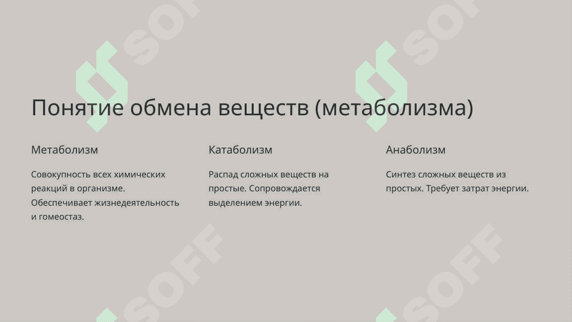 Образование и расход энергии в процессе обмена веществ 3