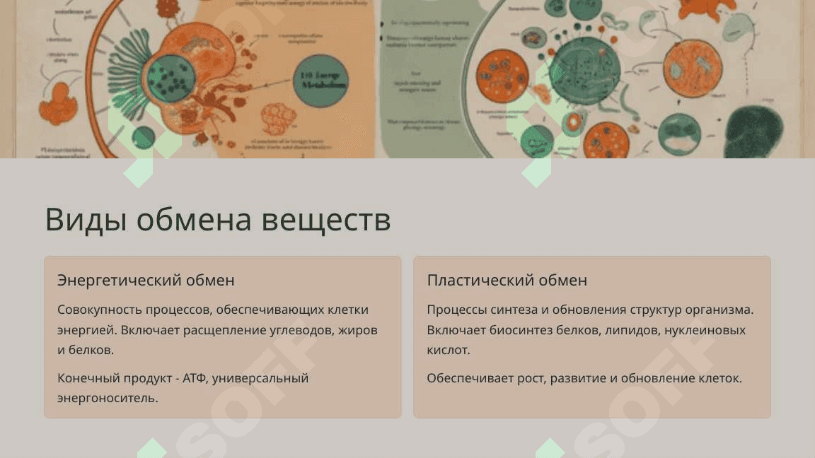 Образование и расход энергии в процессе обмена веществ 4