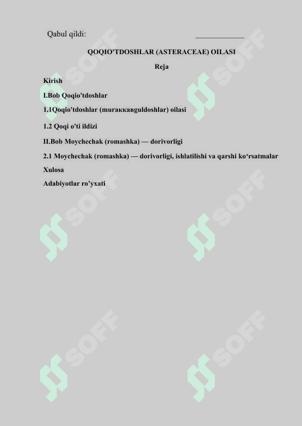 QOQIO'TDOSHLAR (ASTERACEAE) OILASI 2
