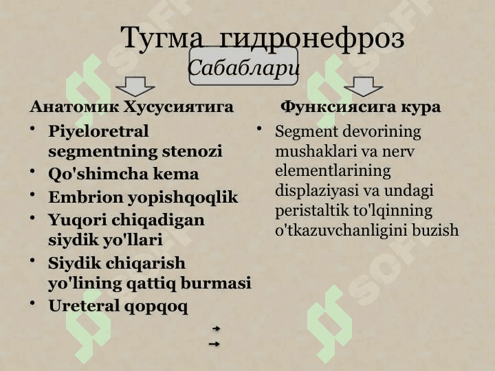 Buyrak tug`ma anomaliyalari.Gidronefroz patogenezi klinikasi etiologiyasi bolalar gidronefrozi 5