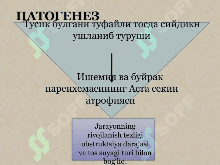Buyrak tug`ma anomaliyalari.Gidronefroz patogenezi klinikasi etiologiyasi bolalar gidronefrozi 8