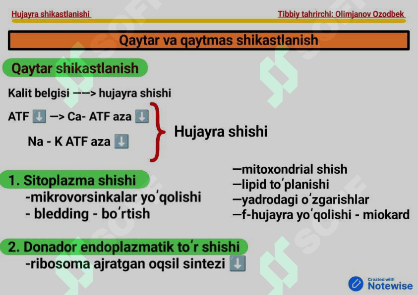 Hujayra shikastlanishi pdf 6