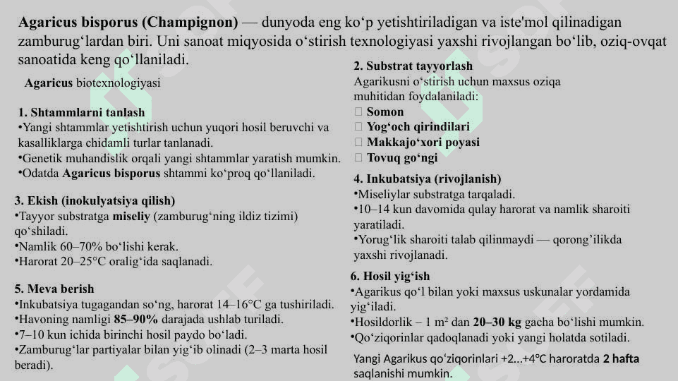 Isteʼmol qilinadigan zamburugʻlar biotexnologiyasi 2