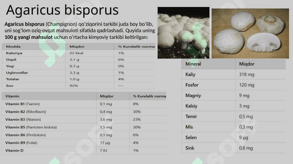 Isteʼmol qilinadigan zamburugʻlar biotexnologiyasi 3