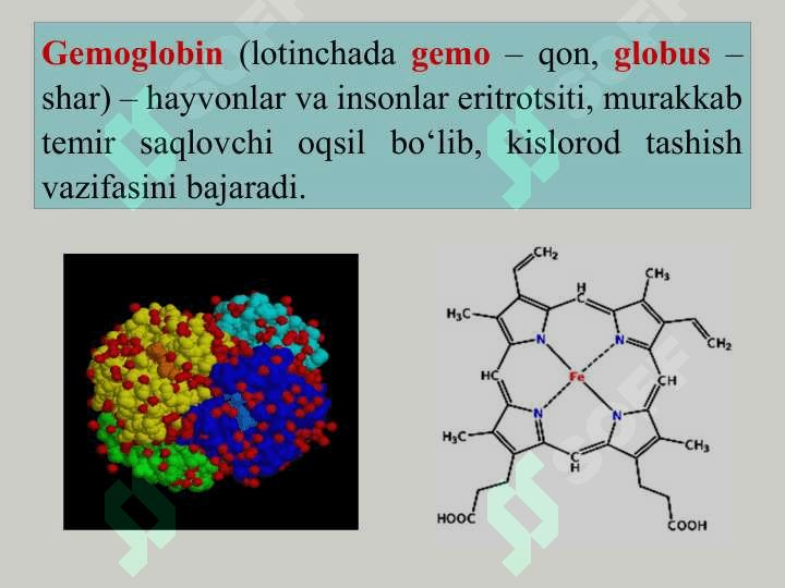 METAN VA IS GAZI BILAN ZAHARLANISh. KARBOKSIGEMOGLOBINNI QONDAN KIMYoVIY VA FIZIK-KIMYoVIY USULLARDA TAHLIL QILISh 6