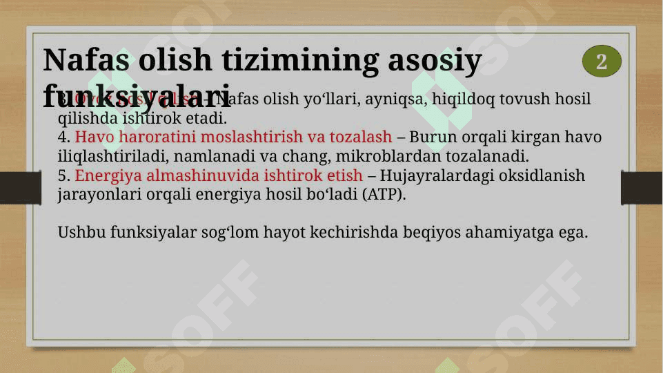 Nafas olish tizimi 4