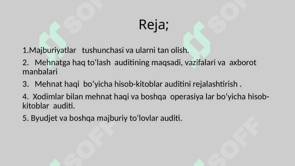 Majburiyatlar auditi. 2