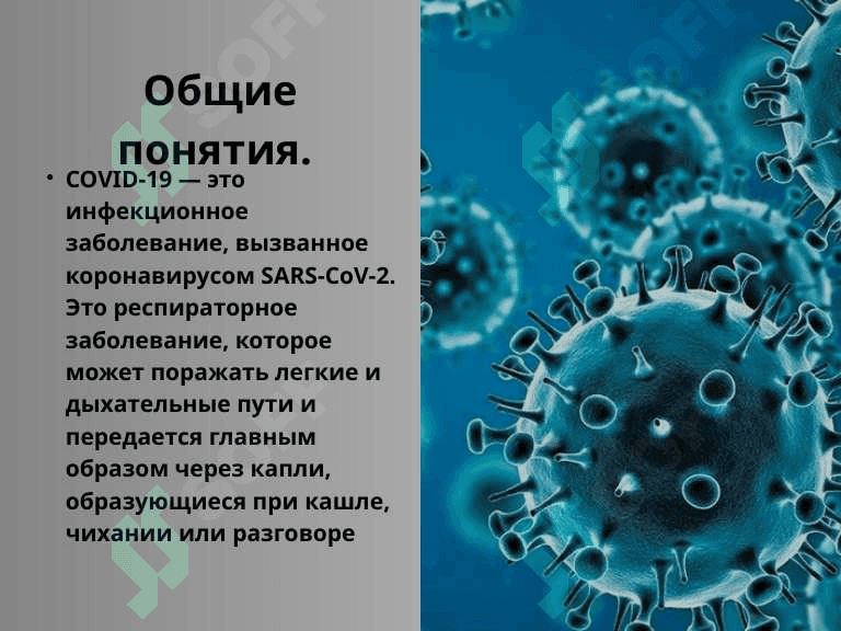 COVID-19 - глобальная проблема современности. 3