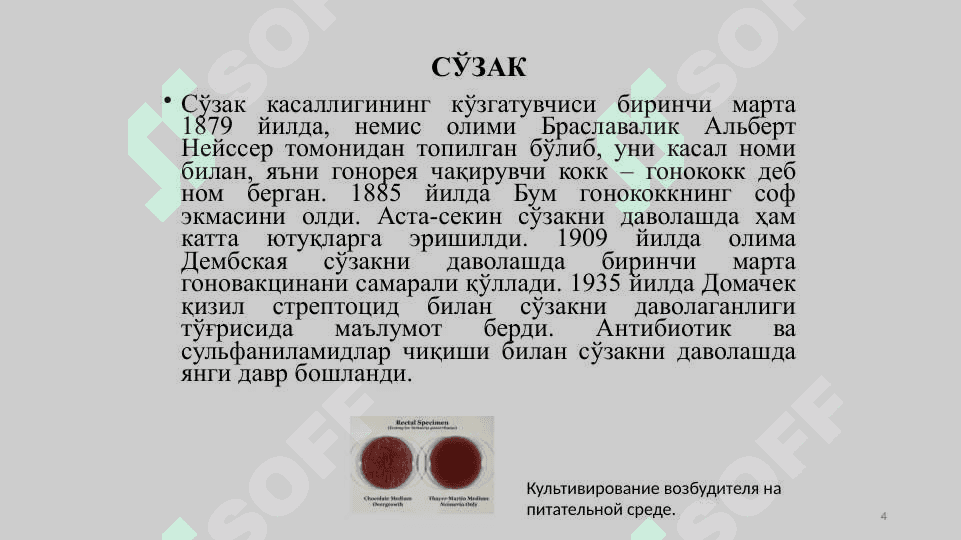Сўзак (Гонорея) 4
