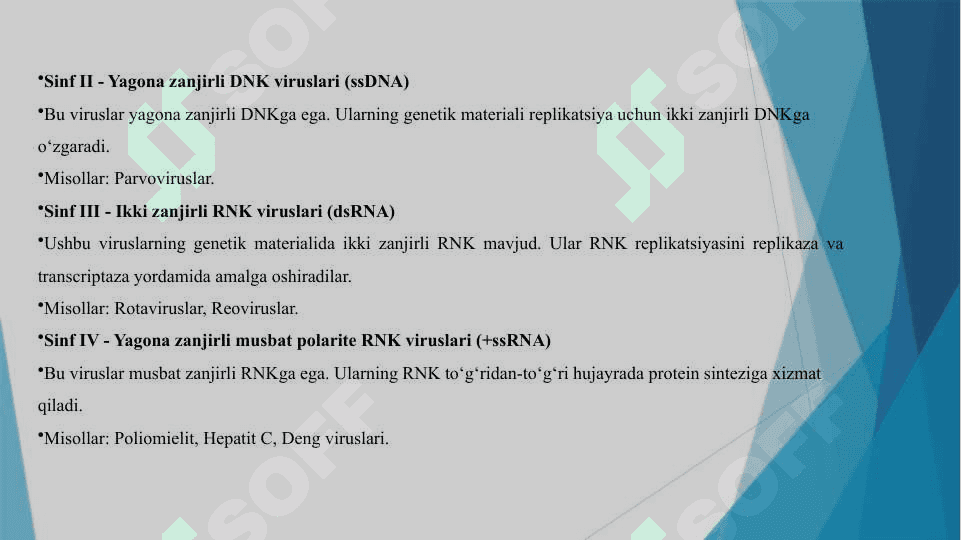 Viruslarning Klassifikatsiyasi va O‘simliklar Viruslarining Klassifikatsiyasi 3