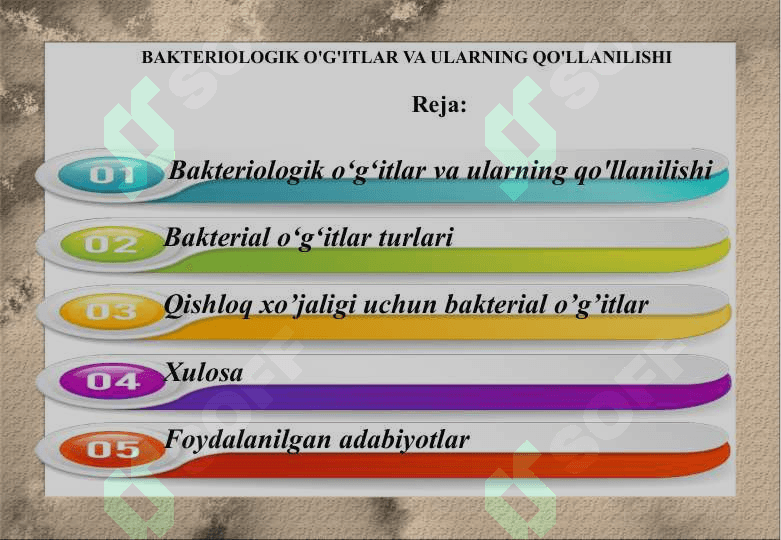 BAKTERIOLOGIK O'G'ITLAR VA ULARNING QO'LLANILISHI 2