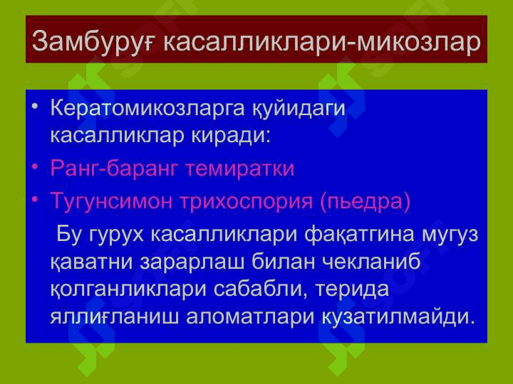 Терининг тузилиши, морфологик элементлари 4