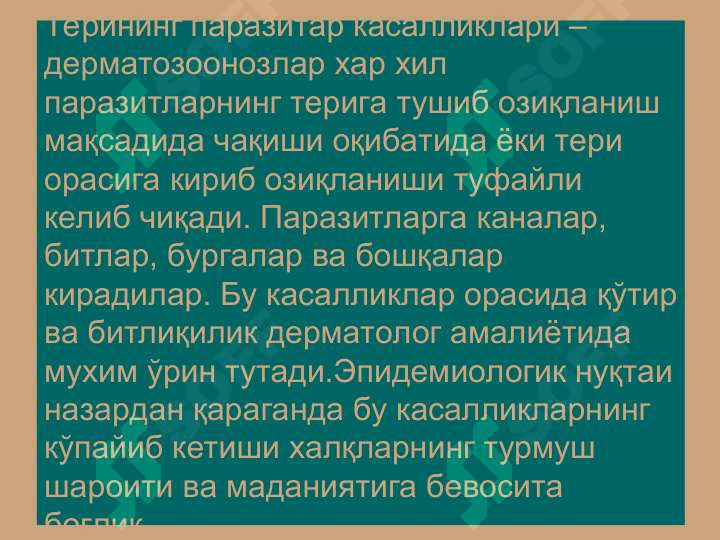 Терининг тузилиши, морфологик элементлари 3