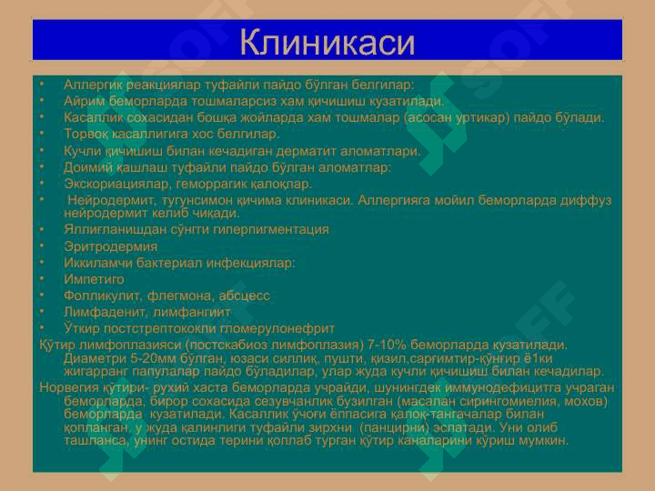 Терининг тузилиши, морфологик элементлари 7