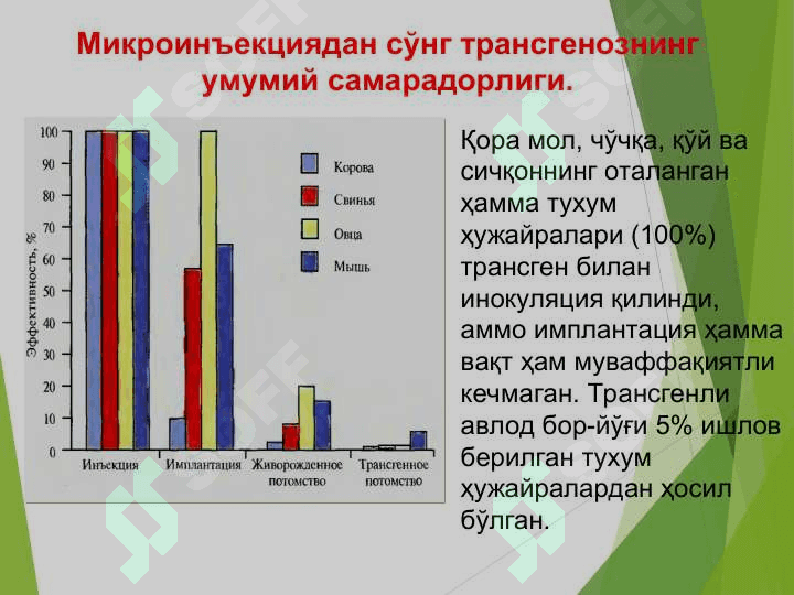 ХАЙВОН ОРГАНИЗМЛАРИ ГЕН МУХАНДИСЛИГИ 7