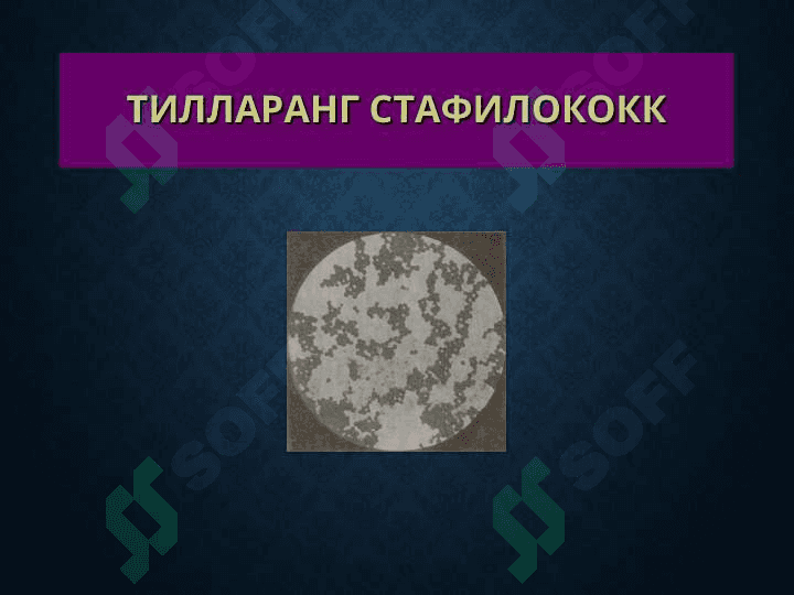 Терининг йирингли касалликлари 6