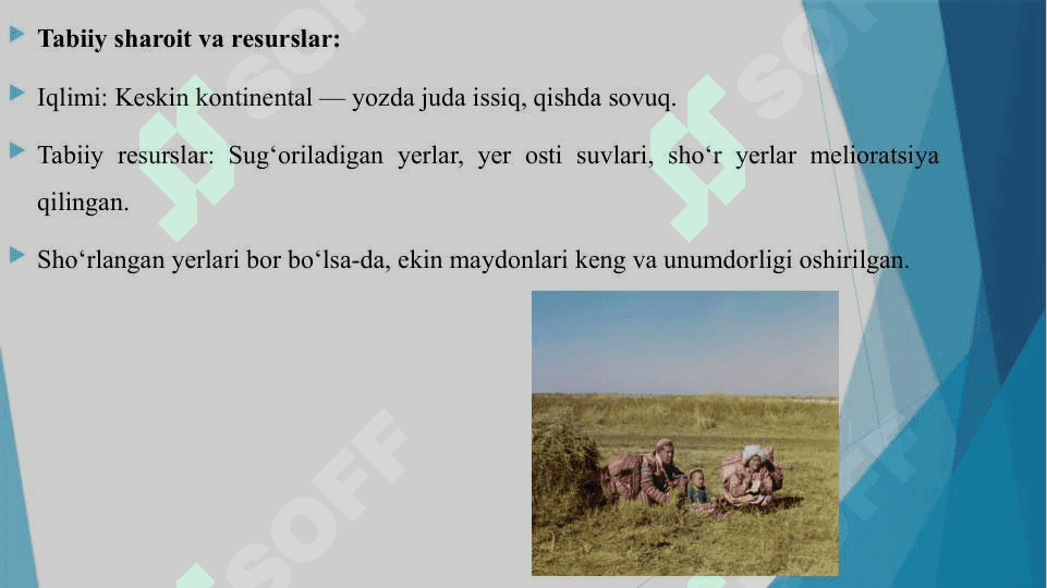 MIRZACHOʻL IQTISODIY RAYONI 4