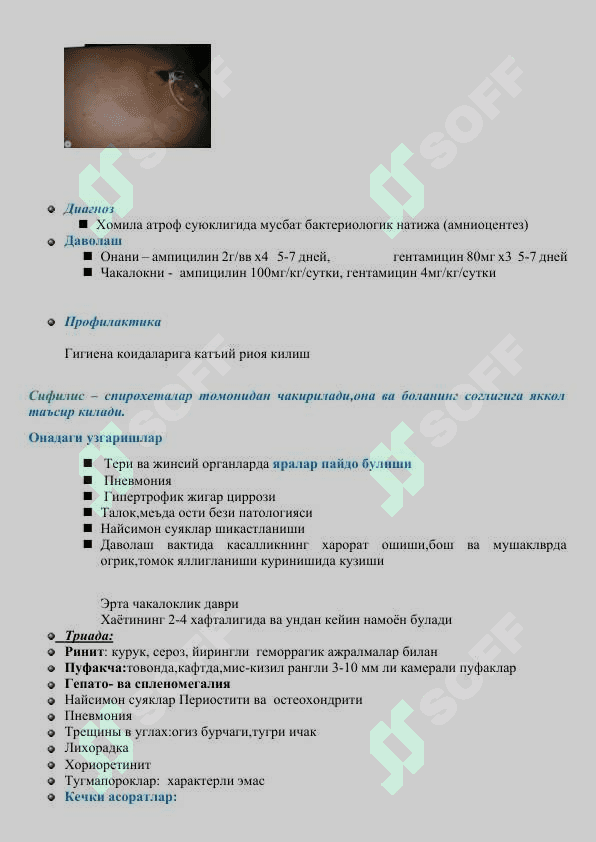 Хомиланинг иммун химояси 3