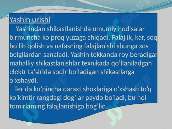 Chaqmoq urish xavfi va ulardan himoyalanish yo’llari 3