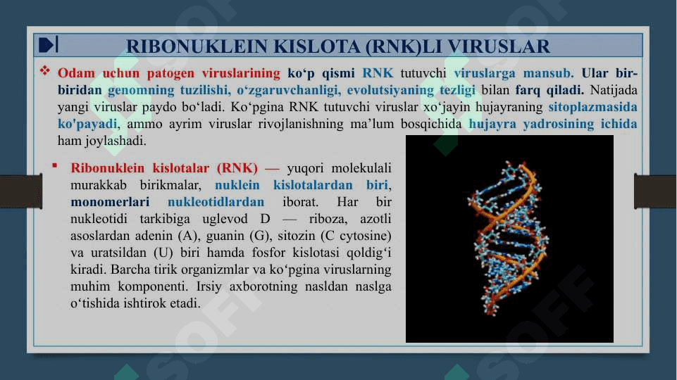 RNK SAQLOVCHI VIRUSLAR - RNK SAQLOVCHI VIRUSLAR KELTIRIB CHIQARUVCHI YUQUMLI KASALLIK QO’ZG’ATUVCHILARI. ORTOMIKSOVIRUSLAR, PARAMIKSOVIRUSLAR. XARAKTERISTIKA VA LABAROTORIYA TASHXISI 3