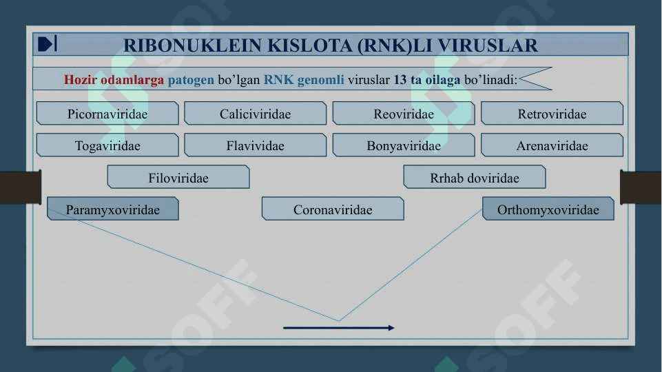 RNK SAQLOVCHI VIRUSLAR - RNK SAQLOVCHI VIRUSLAR KELTIRIB CHIQARUVCHI YUQUMLI KASALLIK QO’ZG’ATUVCHILARI. ORTOMIKSOVIRUSLAR, PARAMIKSOVIRUSLAR. XARAKTERISTIKA VA LABAROTORIYA TASHXISI 5