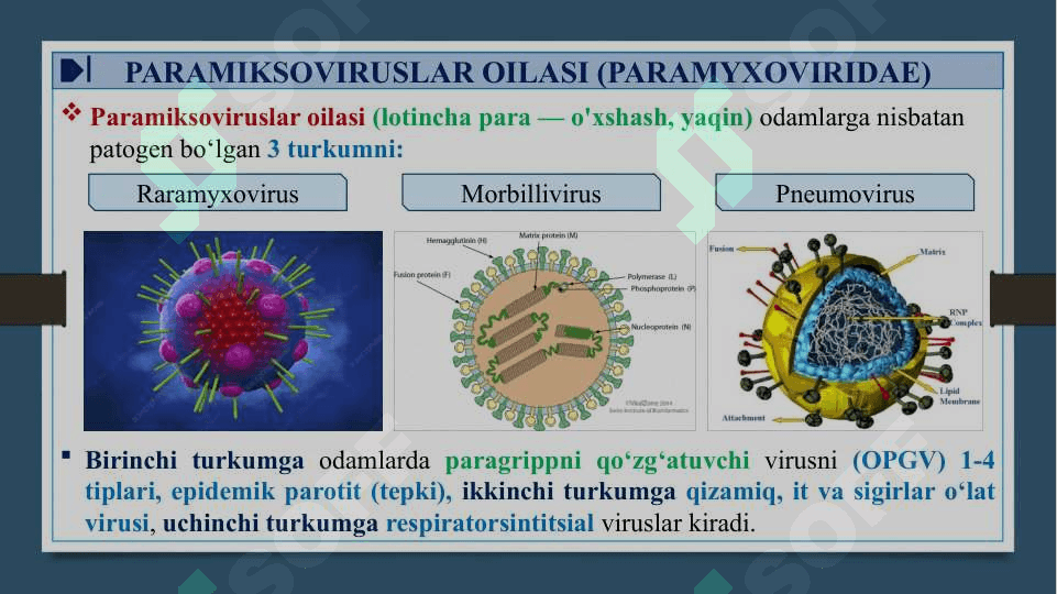 RNK SAQLOVCHI VIRUSLAR - RNK SAQLOVCHI VIRUSLAR KELTIRIB CHIQARUVCHI YUQUMLI KASALLIK QO’ZG’ATUVCHILARI. ORTOMIKSOVIRUSLAR, PARAMIKSOVIRUSLAR. XARAKTERISTIKA VA LABAROTORIYA TASHXISI 6