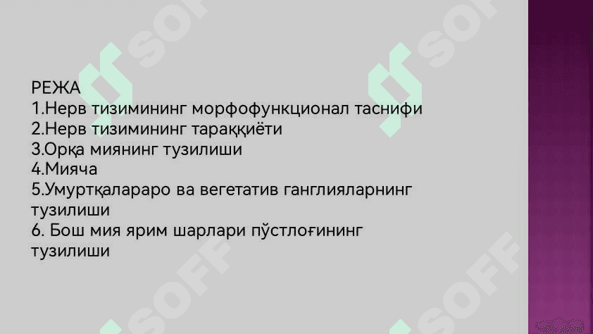 Нерв системаси 2