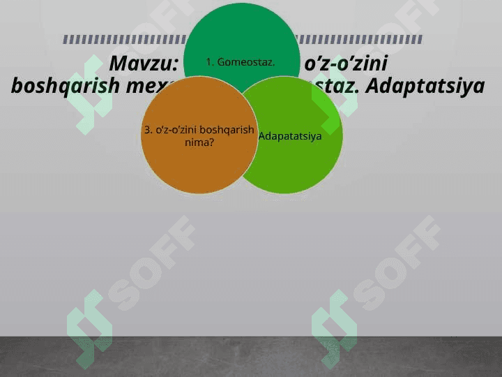 Organizmni o’z-o’zini boshqarish mexanizmi.Gomeostaz.Adaptatsiya. 2