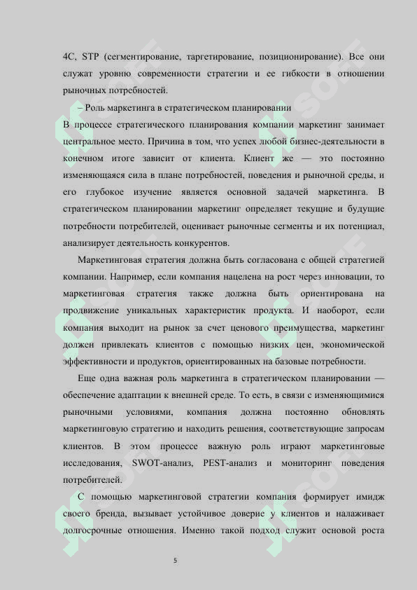 Маркетинговые стратегии развития целевого рынка компании КУРСОВАЯ РАБОТА 7